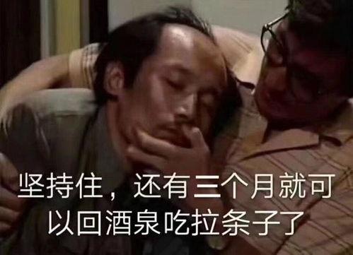 别开车 表情包 葛优