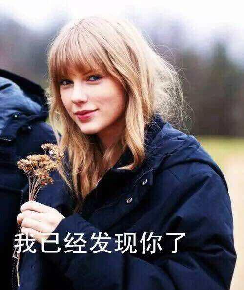 Taylor 表情包